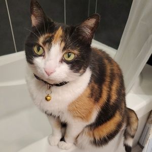 Meet your Posher, Susan